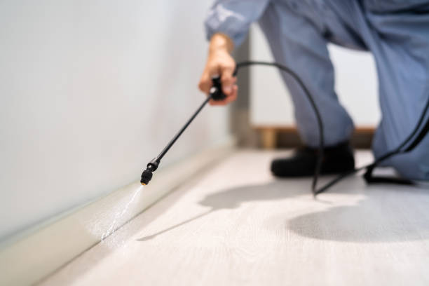 Licensed Termite Control service in Nashville, AR - Nex Pest Control
