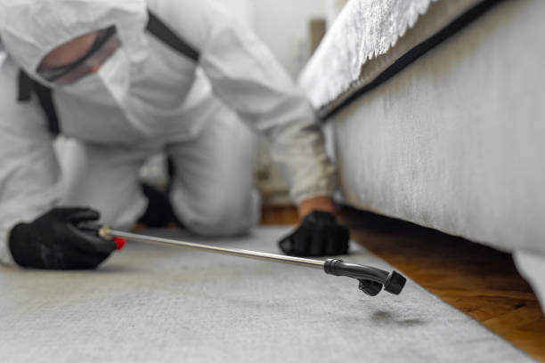 Professional Termite Control technician working in Nashville, AR