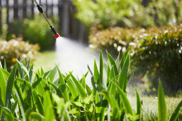 24/7 Emergency Termite Control experts in Nashville, AR