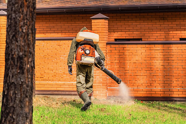 Top rated local Termite Control specialists in Nashville, AR